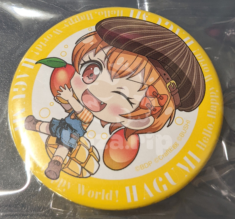 item thumbnail for Badge - Can