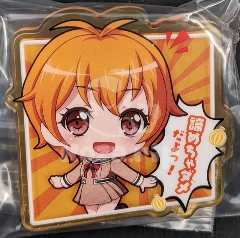 item thumbnail for Clip - Acrylic