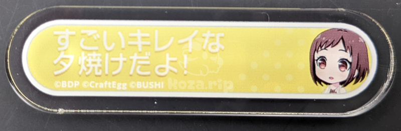 item thumbnail for Badge - Acrylic