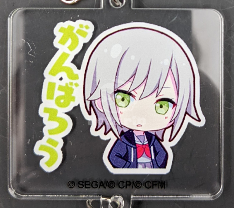 item thumbnail for Keychain - Acrylic